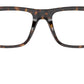 DG 3362 502 tortoise