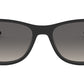 New Wayfarer RJ9052S 100/11 black