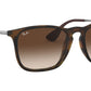 Chris RB4187 tortoise