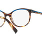 3069 001 tortoise
