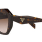 PR 16WS tortoise