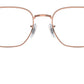 RB6496 Optics 3094