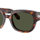 PO0064S 24/31 Havana