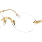 RB3929V Optics 2500