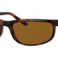 Predator 2 RB2027 dark havana