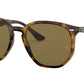 RB4306 710/73 light havana