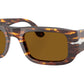 PO3362S 121533 Brown / Bright Yellow