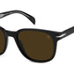 DB 1062/S Black Brown