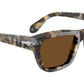 PO0091S 107157 Brown Tortoise