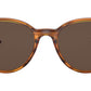RB4305 820/73 striped red havana