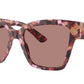 DG 4470 344073 Havana Pink Brown