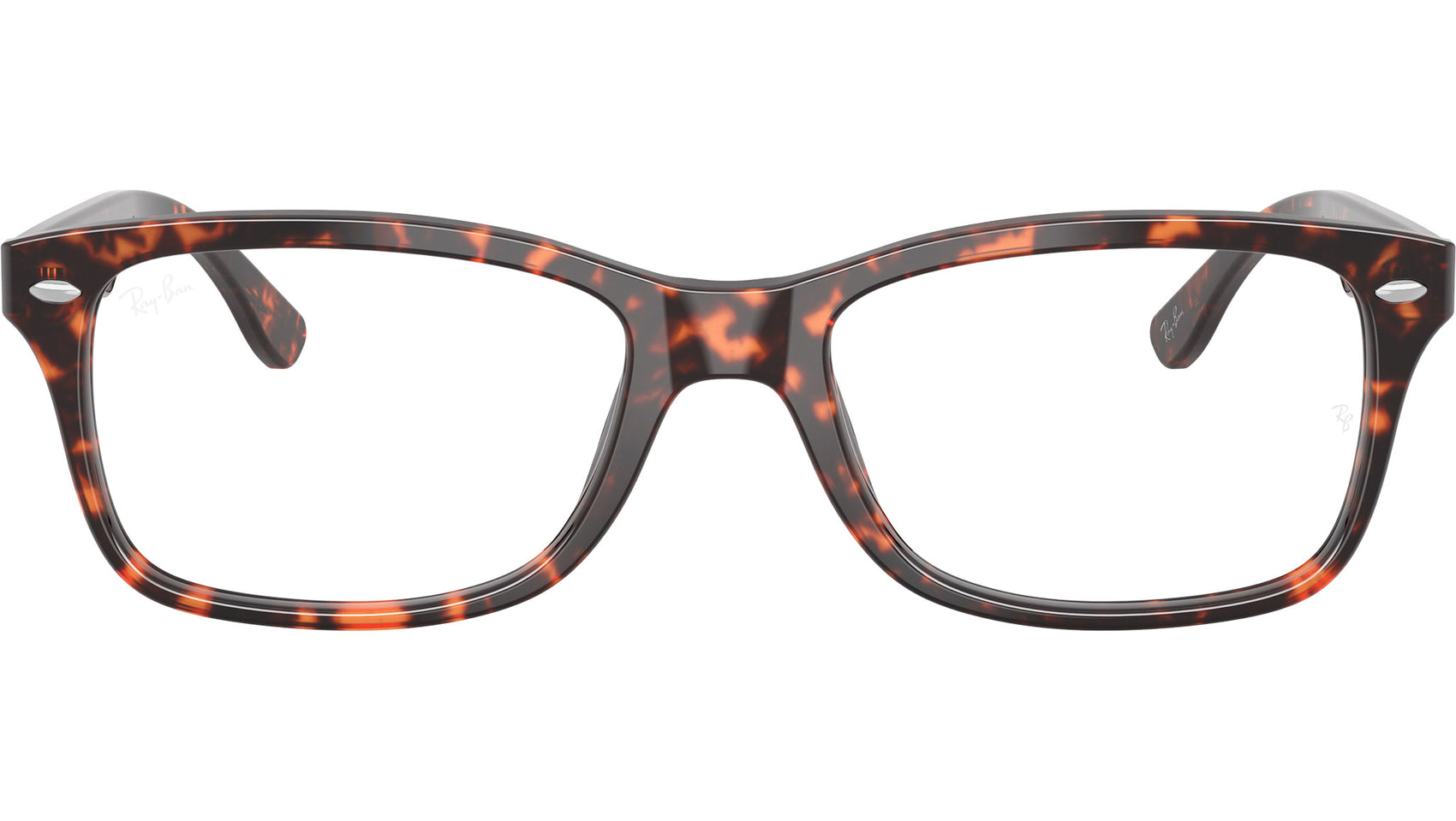 RB5228 Optics 8423