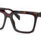 PR A19V 17N1O1 Tortoise