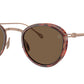 AR 6148T 333573 Tortoise