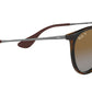 Erika Classic RB4171 gloss tortoise