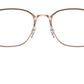 RB6466 Optics 2973