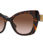 DG 4405 502/13 tortoise