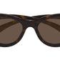 GG1691S 002
