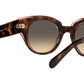 Roundabout RB2192 1324BG havana on transparent pink