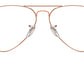 Aviator Optics RB6489 3094