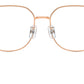 SK1009D 4014