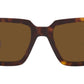 PR 02ZS tortoise