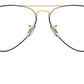 Aviator Optics RB6489 3177
