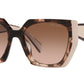 PR 15WS tortoise caramel and powder