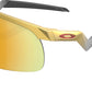 Resistor OJ9010 08 Olympic Gold