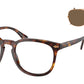 PH4214 613773 Brown Tortoise