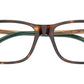 PH2273 6137 Brown Tortoise