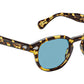 Lemtosh Sun Tokyo Tortoise