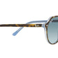 Thalia RB2195 13163M havana on light blue
