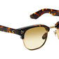 Tinif Sun Tortoise Gold
