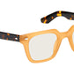 Grober Honey Tortoise