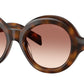 SPR D08 20D-70X