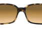 RB4068 tortoise