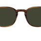 Fairmont Sun OV5219S Tuscany tortoise