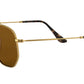 Hexagonal Flat Lenses RB3548N gold brown