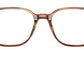 Leonard Optics RB5393 2144