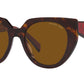 PR 14WS tortoise