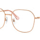 SK1009D 4014
