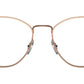 RB6470 Optics 3094