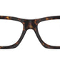 Nomad Wayfarer Optics RB5487 2012