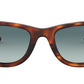 Wayfarer Ease RB4340 tortoise blue