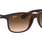 Andy RB4202 607313 matte brown on brown