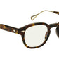 Lemtosh-TT SE Spot Tortoise Gold