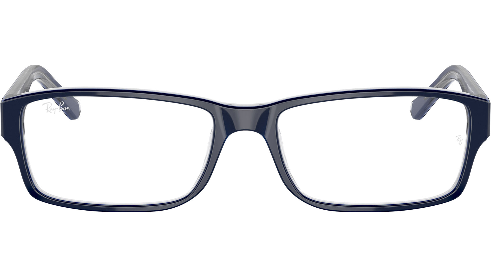 RB5169 Optics 5815
