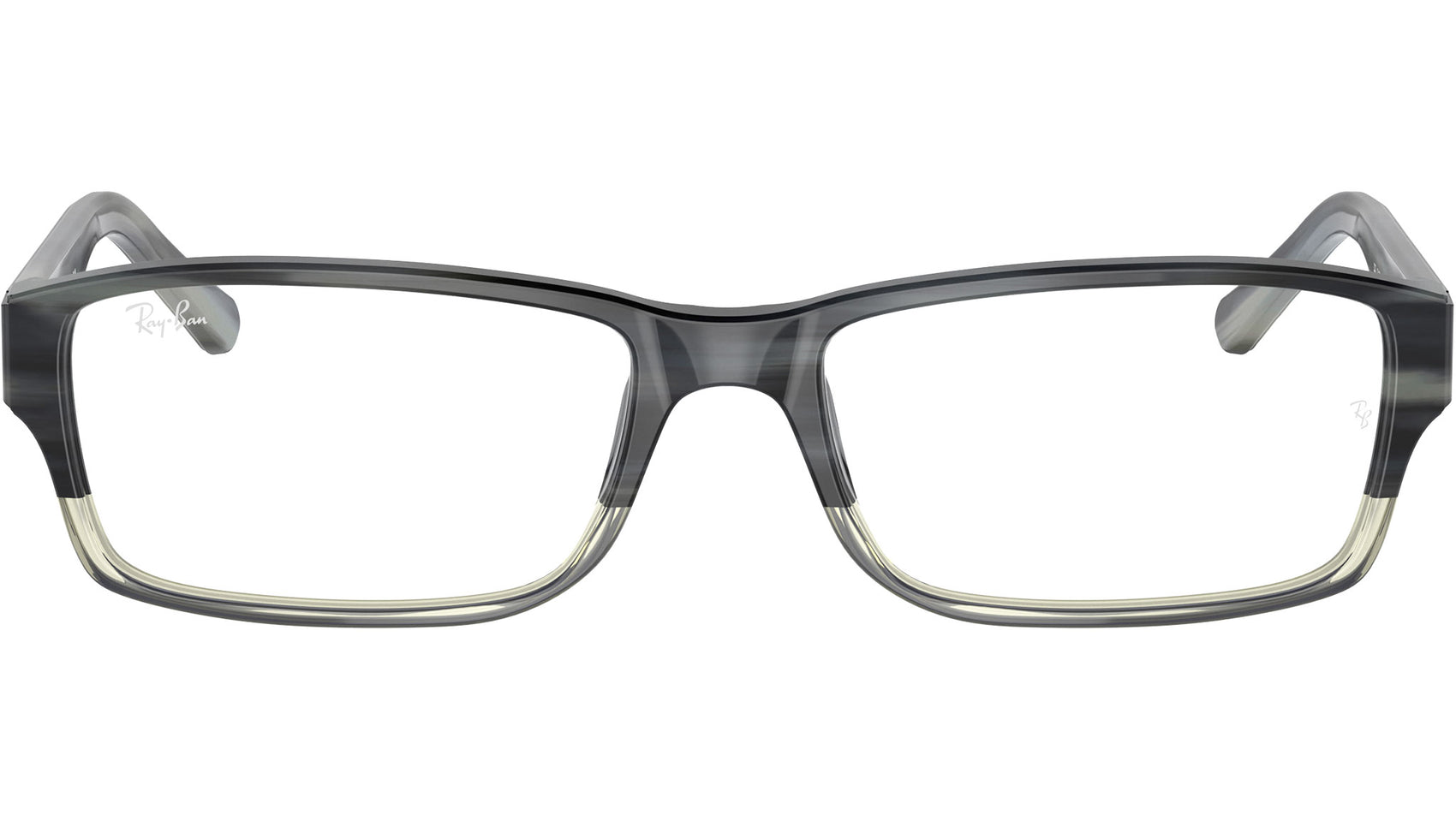 RB5169 Optics 5540