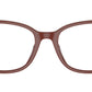 RA7137U 6134 Brown Red